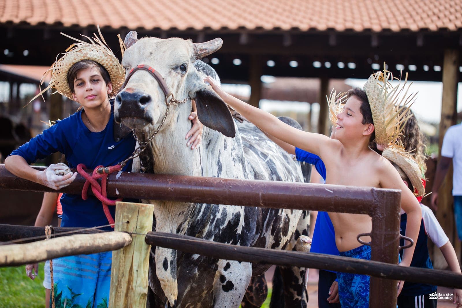 Criança interagindo com vaca na Fazendinha do Barretos Country